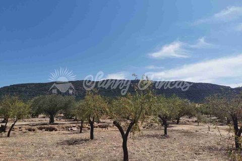 Terra a Biar, Alicante, Biar - € 49.995 | Ref: SF0427 - foto 3